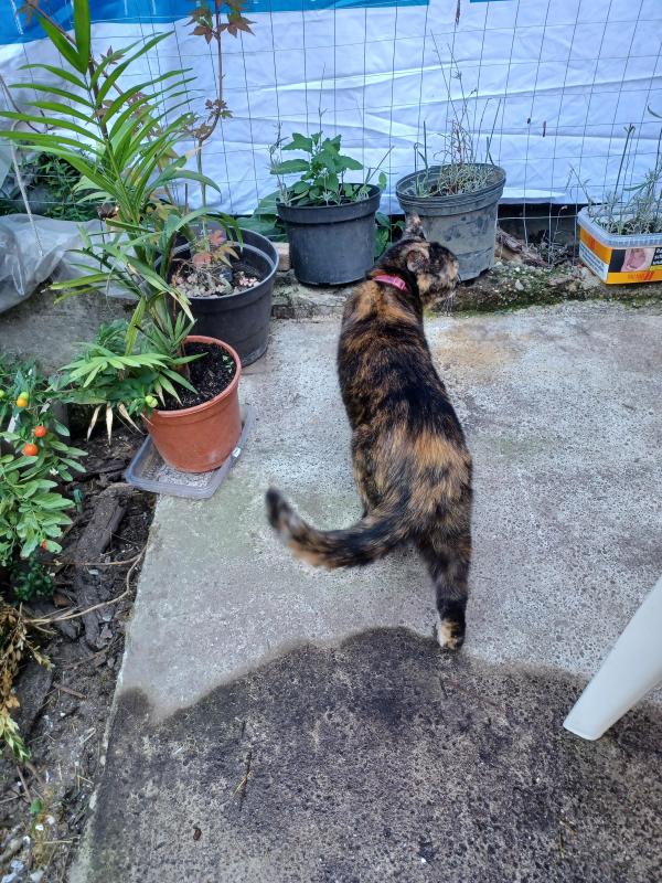 Didi uploaded   254  day/s  ago