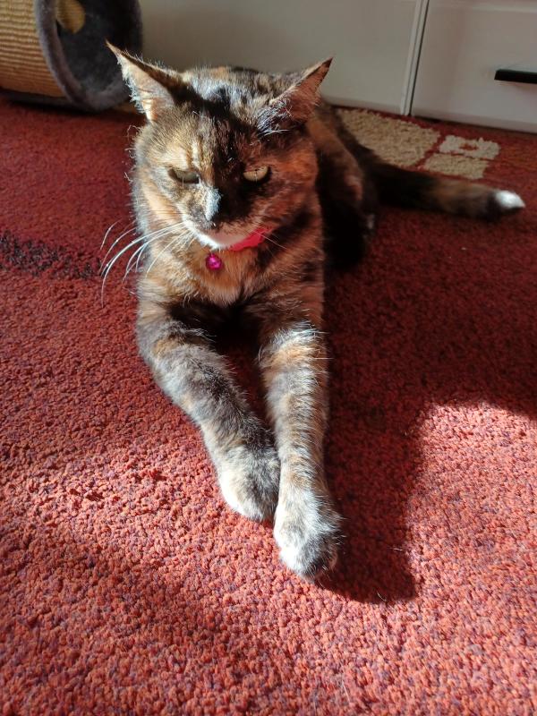 Didi uploaded   241  day/s  ago