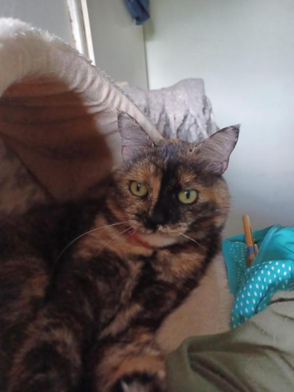 Didi uploaded   215  day/s  ago