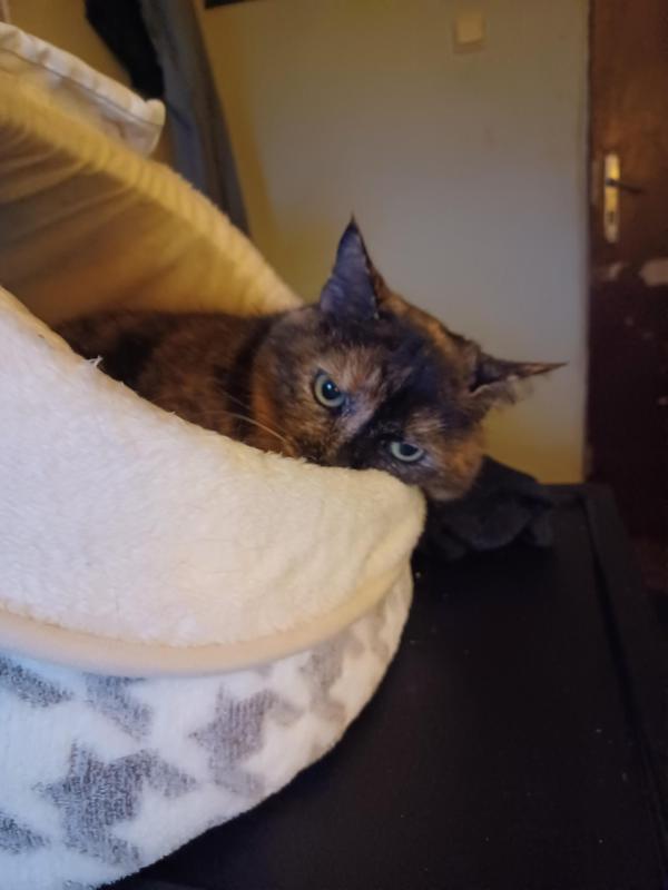 Didi uploaded   1 year/s ago