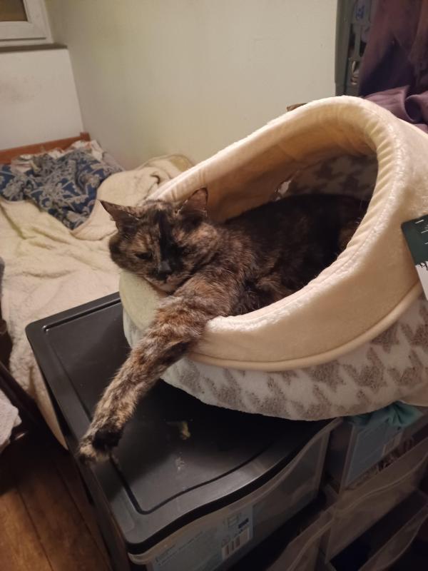 Didi uploaded   1 year/s ago