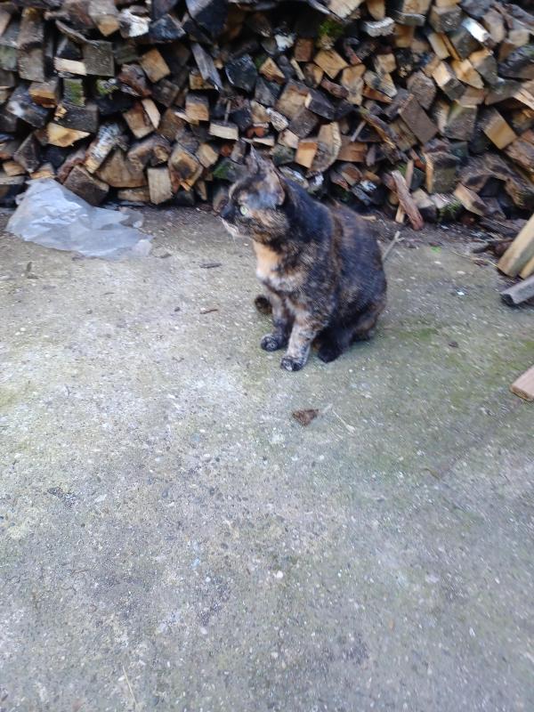 Didi uploaded   357  day/s  ago