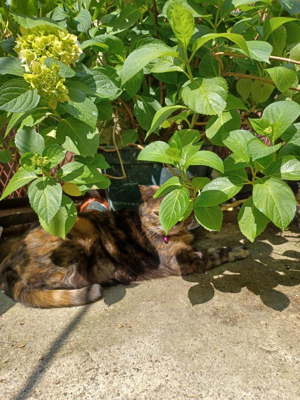 Didi uploaded   322  day/s  ago