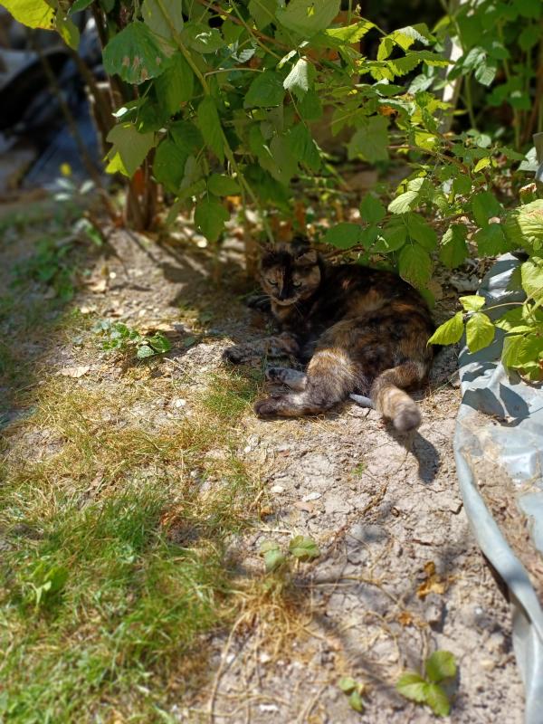 Didi uploaded   313  day/s  ago