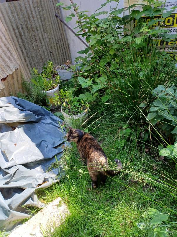 Didi uploaded   327  day/s  ago