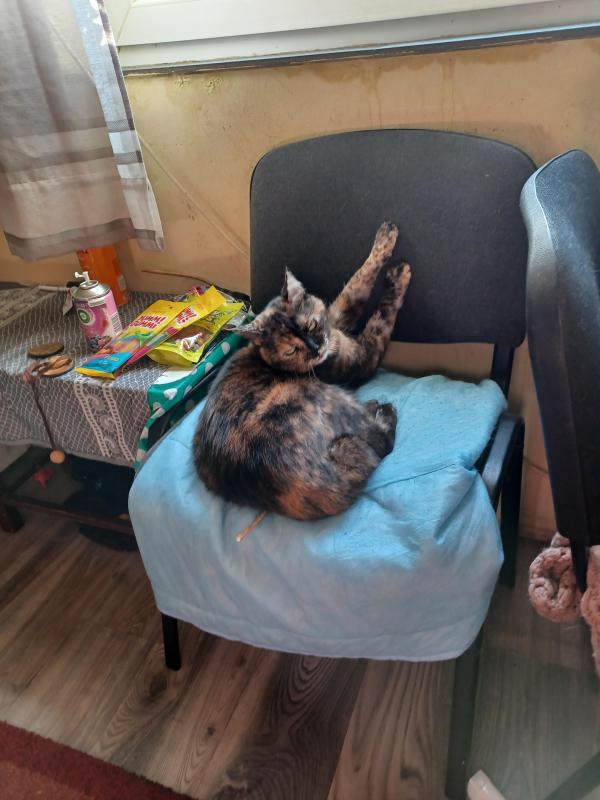 Didi uploaded   270  day/s  ago