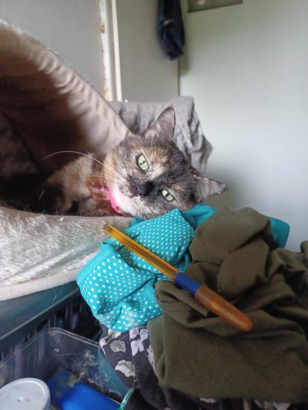 Didi uploaded   215  day/s  ago