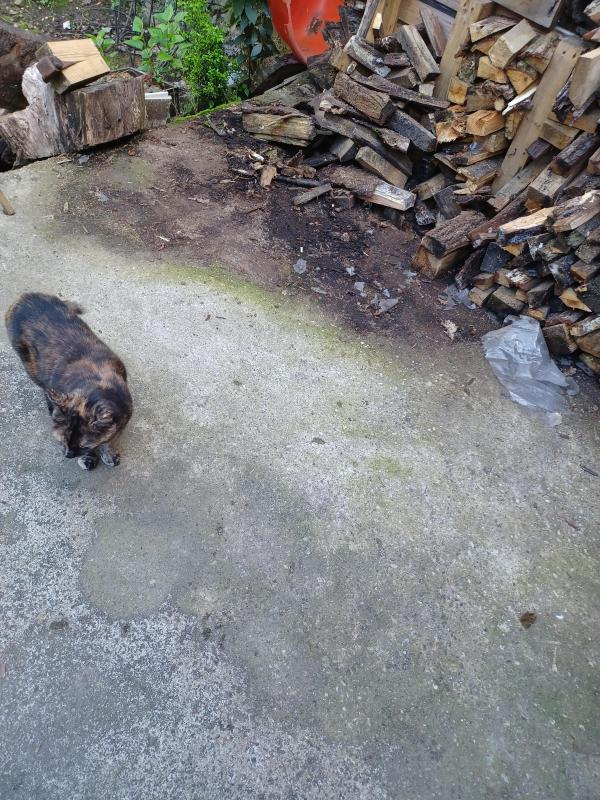 Didi uploaded   357  day/s  ago