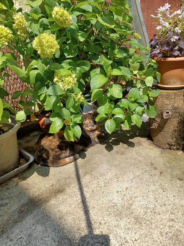 Didi uploaded   322  day/s  ago