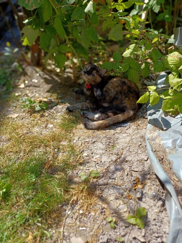 Didi uploaded   313  day/s  ago