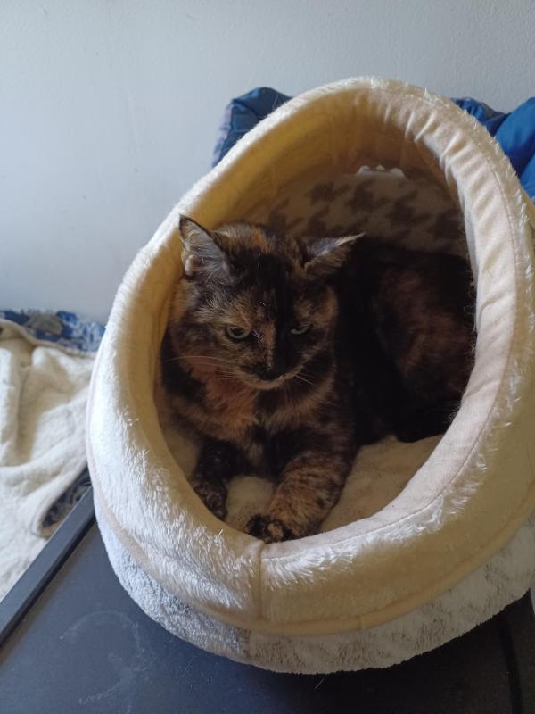 Didi uploaded   327  day/s  ago