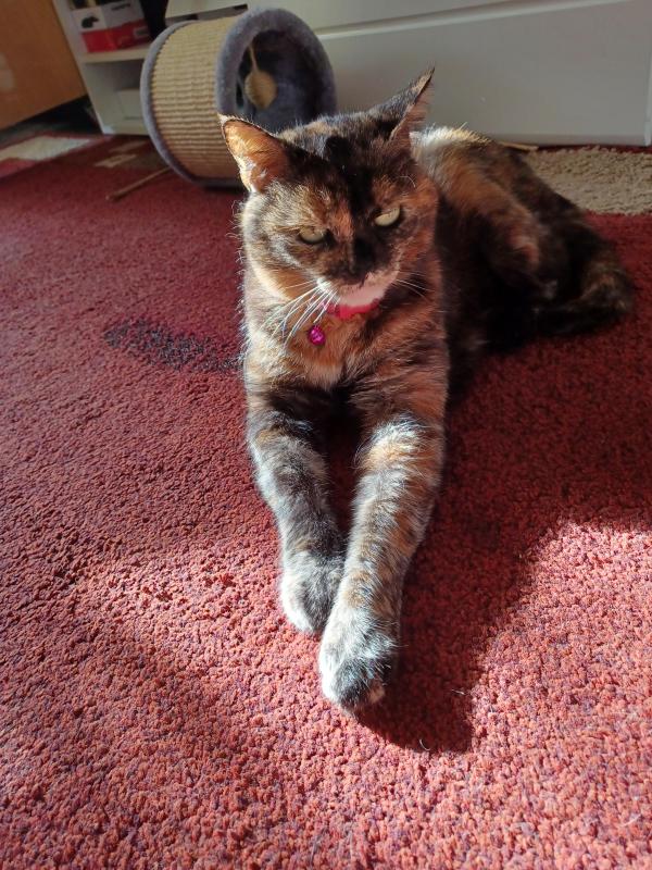 Didi uploaded   241  day/s  ago