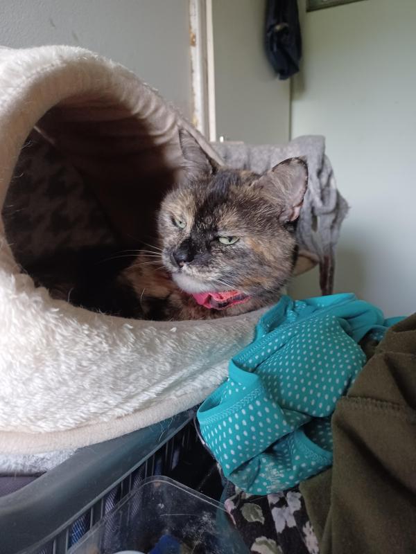 Didi uploaded   215  day/s  ago