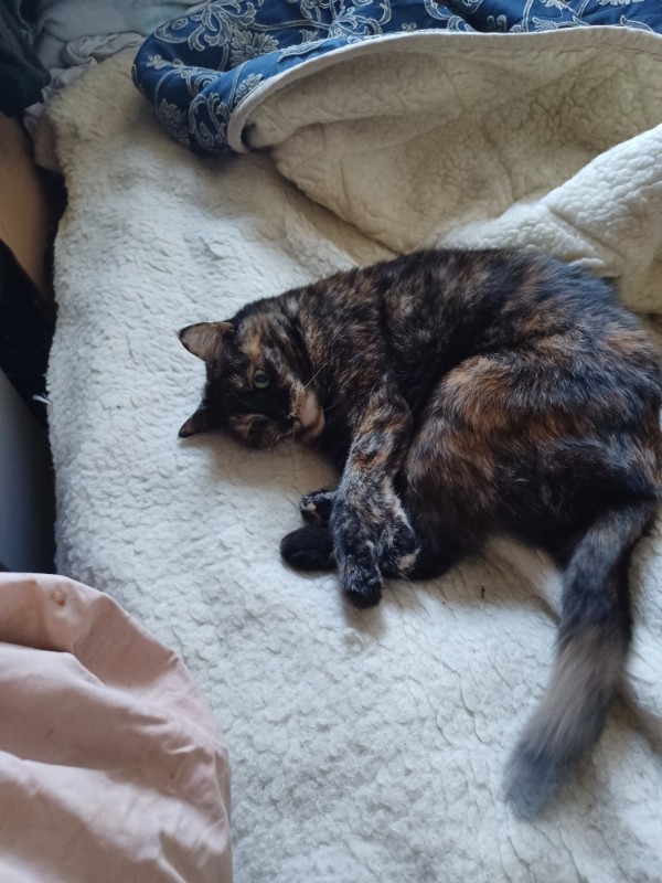 Didi uploaded   1 year/s ago