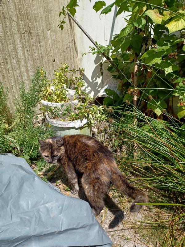 Didi uploaded   313  day/s  ago