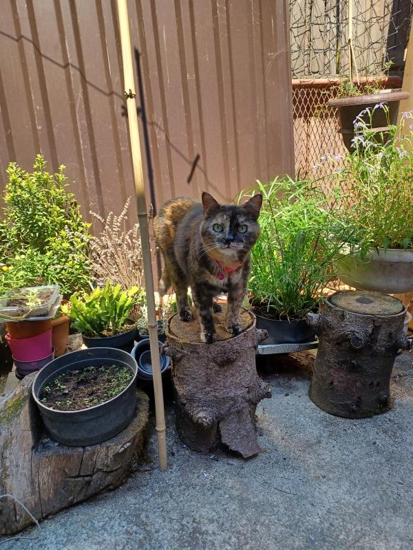 Didi uploaded   254  day/s  ago