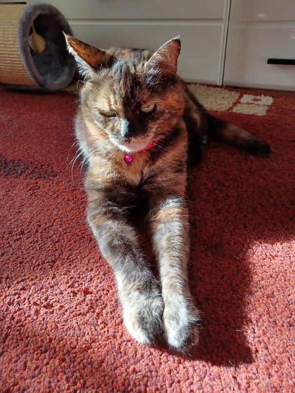 Didi uploaded   241  day/s  ago