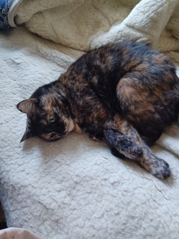 Didi uploaded   1 year/s ago