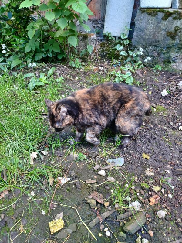 Didi uploaded   357  day/s  ago