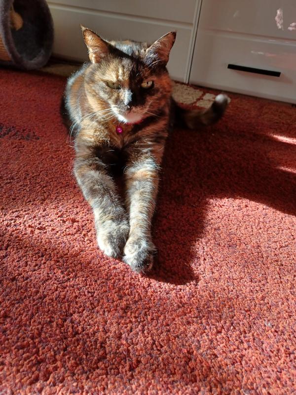 Didi uploaded   241  day/s  ago