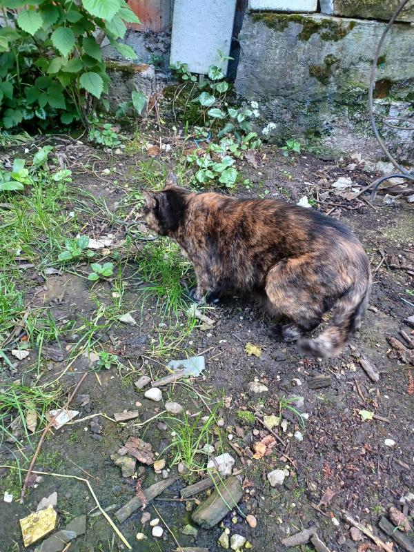 Didi uploaded   357  day/s  ago