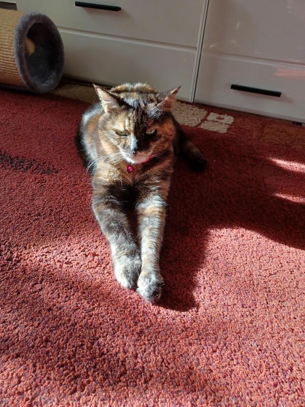 Didi uploaded   241  day/s  ago