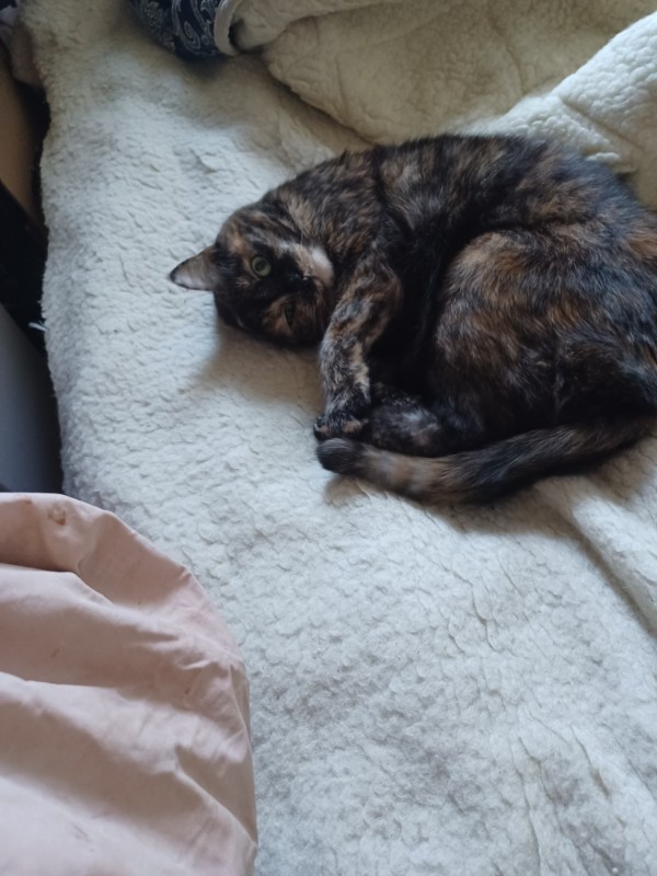 Didi uploaded   1 year/s ago