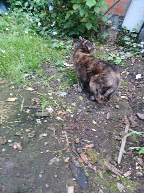 Didi uploaded   357  day/s  ago