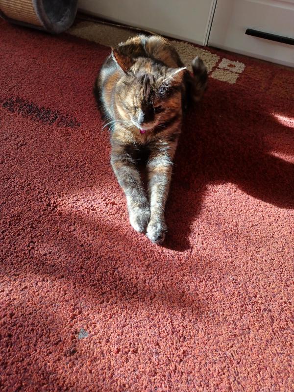 Didi uploaded   241  day/s  ago