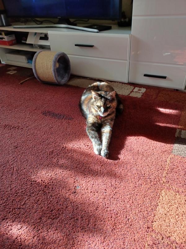 Didi uploaded   241  day/s  ago