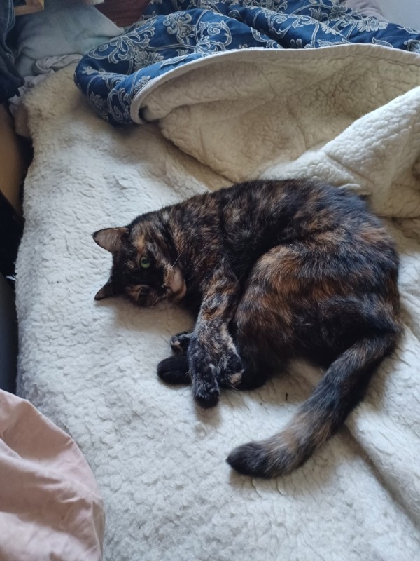 Didi uploaded   1 year/s ago