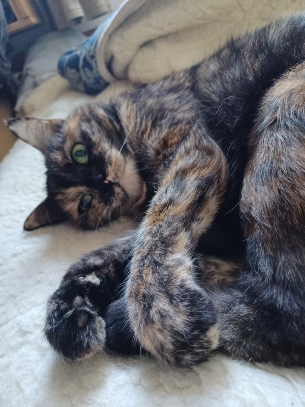 Didi uploaded   1 year/s ago