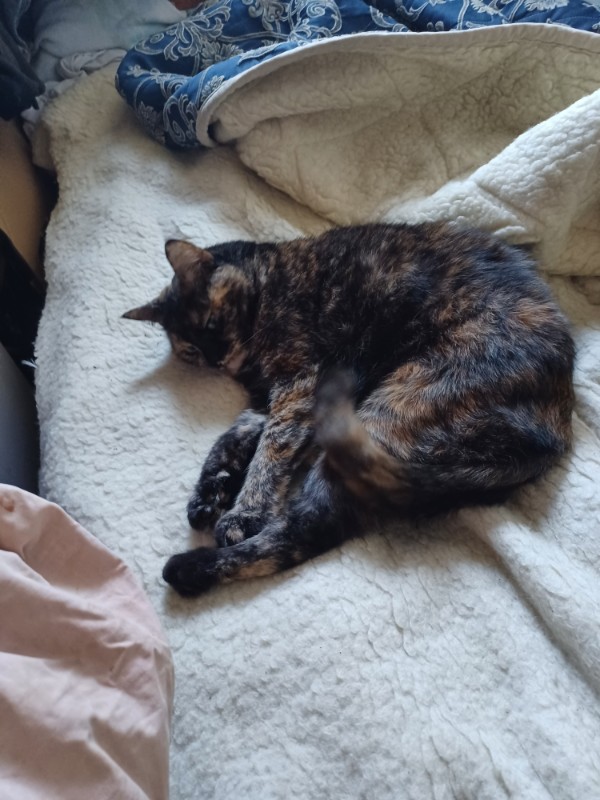 Didi uploaded   1 year/s ago