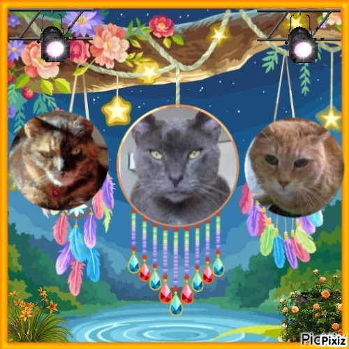 Didi uploaded   85  day/s  ago