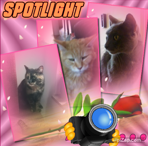 Didi uploaded   85  day/s  ago