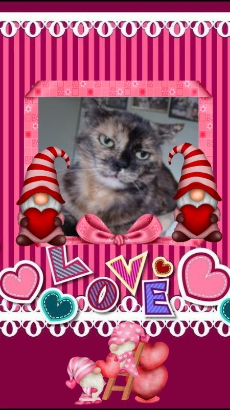 Didi uploaded   90  day/s  ago