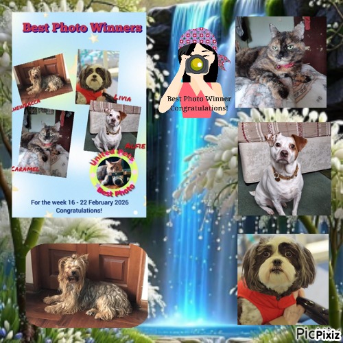 Didi uploaded   54  day/s  ago