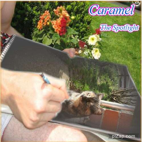 Caramel of the Didi family