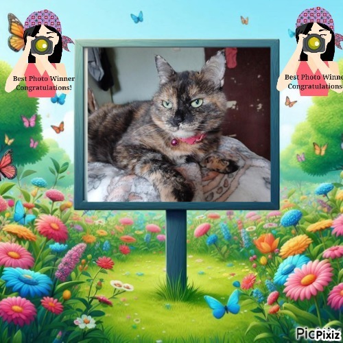 Didi uploaded   54  day/s  ago