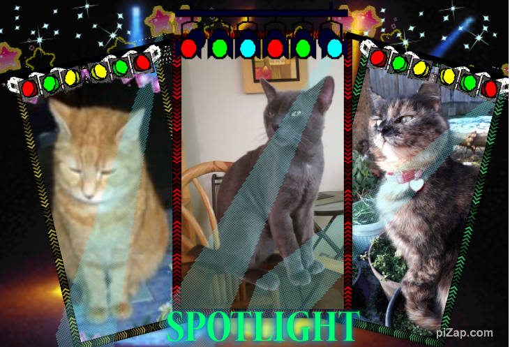 Didi uploaded   85  day/s  ago