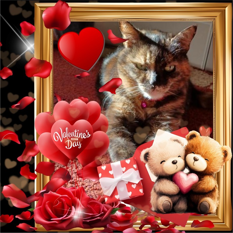 Didi uploaded   54  day/s  ago