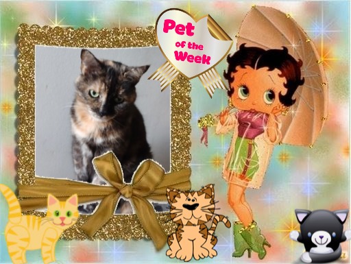 Caramel of the Didi family