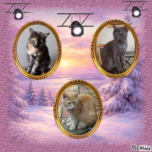 Caramel of the Didi family