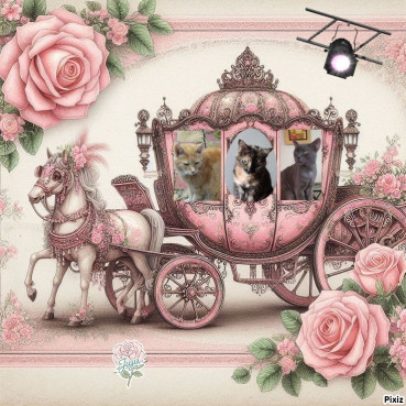 Didi uploaded   85  day/s  ago