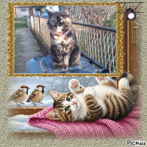 Caramel of the Didi family