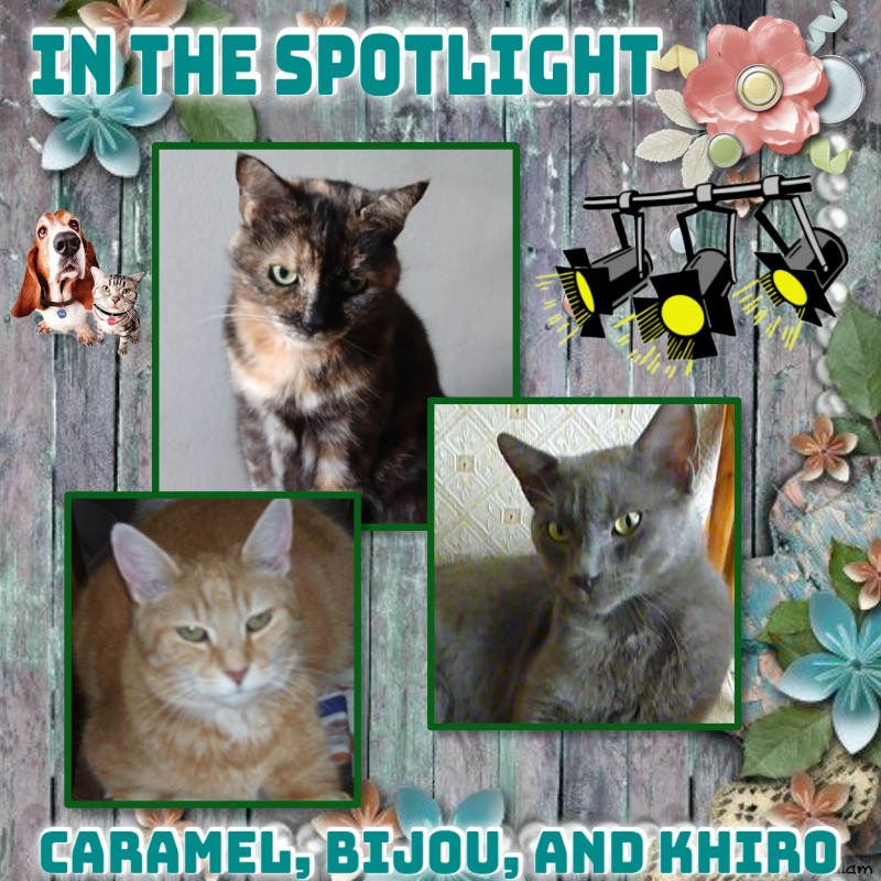 Didi uploaded   85  day/s  ago