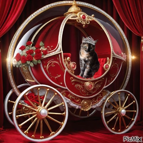 Didi uploaded   85  day/s  ago