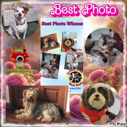 Didi uploaded   54  day/s  ago