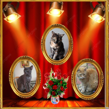 Caramel of the Didi family