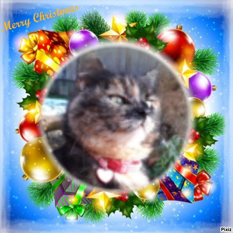 Caramel of the Didi family